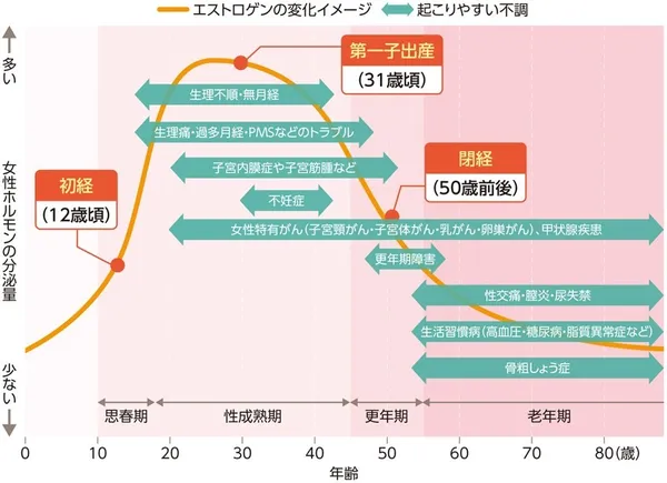女性のライフステージとエストロゲンの変化、起こりやすい不調を示した図。縦軸は女性ホルモン分泌量、横軸は年齢。初経12歳頃から性成熟期にかけてエストロゲンが増加し、第一子出産31歳頃をピークに、閉経の50歳前後で急減。各時期の不調として、思春期から更年期にかけては生理不順・無月経、生理痛·過多月経·PMSなどのトラブルなど。更年期は子宮内膜症・子宮筋腫、不妊症。更年期以降は更年期障害。老年期は性交痛・膣炎・尿失禁、生活習慣病（高血圧・糖尿病・脂質異常症など）、骨粗しょう症など。女性特有がん（子宮頸がん・子宮体がん・乳がん・卵巣がん）、甲状腺疾患については思春期から老年期までのトラブルとなっている。