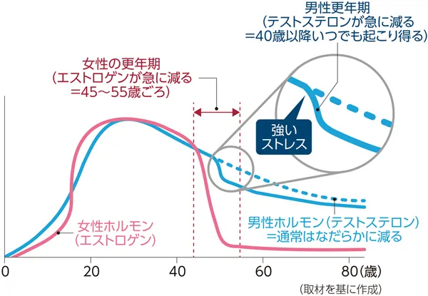 年齢を横軸、ホルモン量を縦軸とする折れ線グラフで、女性ホルモン（エストロゲン）は思春期から20代に増えて30〜40代で高値を保ち45〜55歳の更年期に急減し60代以降は低い水準となり、男性ホルモン（テストステロン）は20代をピークに通常は緩やかに減少する一方で40代以降に強いストレスがあると通常より急に低下する場合があることが示されている。図の下端に「取材を基に作成」との注記がある。