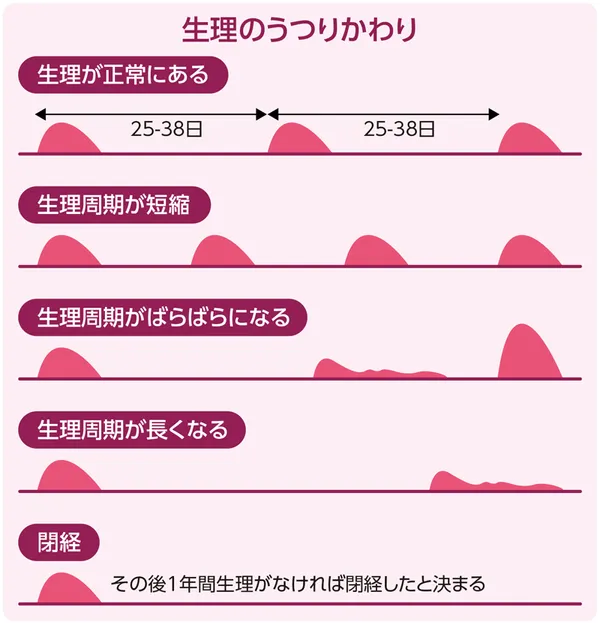 生理のうつりかわりを示した図。詳細は本文参照