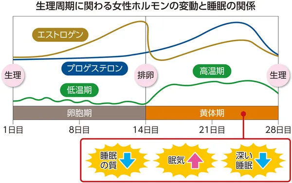 生理周期に伴う女性ホルモンの変動と睡眠の関係を示す図。横軸は1日目から28日目までの生理周期で、「生理」「排卵」「生理」が記され、卵胞期・黄体期、低温期・高温期の区分がある。縦軸にはエストロゲンとプロゲステロンの曲線が描かれ、排卵前にエストロゲンが急上昇し、その後プロゲステロンが黄体期に上昇する様子を示す。黄体期後半には睡眠の質の低下、眠気の増加、深い睡眠の減少を表すアイコンが並び、ホルモン変動が睡眠に影響することを示している。